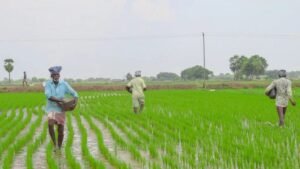 1 अप्रैल से खाद वितरण की नई व्यवस्था: ई-tokenके बिना नहीं मिलेगी खाद